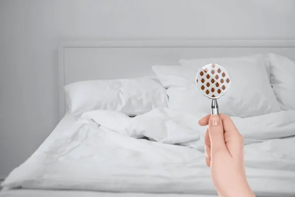 woman-magnifying-glass-detecting-bed-600nw-1031701825