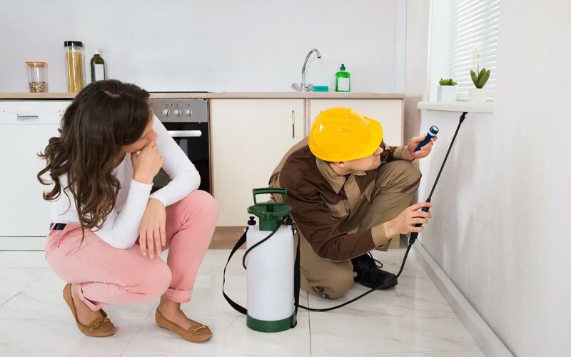 Pest Control Services Designed for Almonte