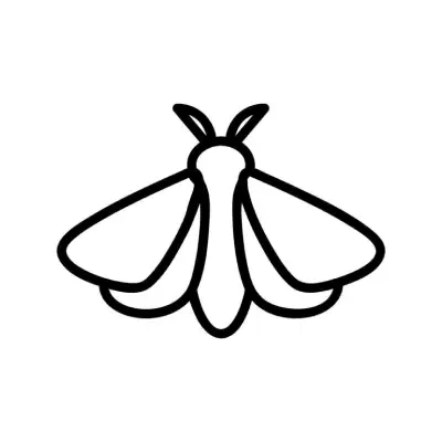 Pantry Moths Control